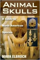 Animal Skulls