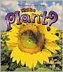 What Is a Plant?