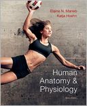 Human Anatomy & Physiology with MasteringA&P