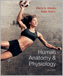 Human Anatomy & Physiology