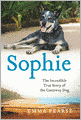 Sophie: The Incredible True Story of the Castaway Dog