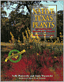 Native Texas Plants: Landscaping Region by Region