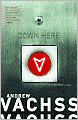 Down Here (Burke Series #15)