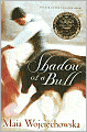Shadow of a Bull