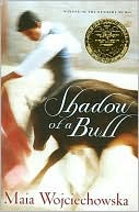 Shadow of a Bull