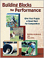 Building Blocks for Performance