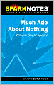Much Ado about Nothing (SparkNotes Literature Guide Series)
