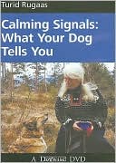 Calming Signals: What Your Dog Tells You