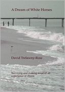 A Dream of White Horses: Surving and Making Sense of an Experience of Illness