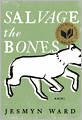 Salvage the Bones