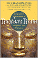 Buddha's Brain: The Practical Neuroscience of Happiness, Love, and Wisdom