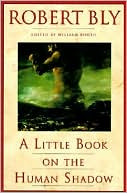 Little Book on the Human Shadow