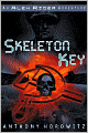 Skeleton Key (Alex Rider Series #3)