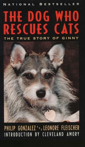 Dog Who Rescues Cats: The True Story of Ginny