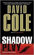 Shadow Play (Laura Winslow Series #6)