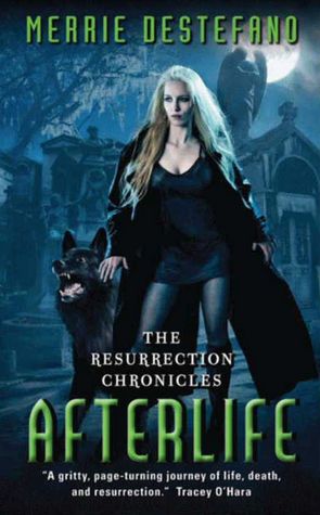 Afterlife: The Resurrection Chronicles