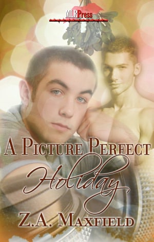 A Picture Perfect Holiday