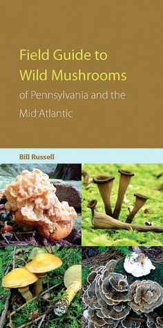 The Wild Mushrooms of Pennsylvania and the Mid-Atlantic