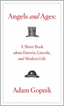 Angels and Ages: A Short Book about Darwin, Lincoln, and Modern Life