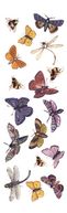 Fuseworks Decal 1 Sheet/Pkg-Bug-A-Boo by Diamond Tech Crafts: Product Image