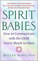 Spirit Babies: How to Communicate with the Child You're Meant to Have