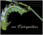 100 Caterpillars: Portraits from the Tropical Forests of Costa Rica