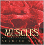Muscles: Our Muscular System