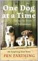 One Dog at a Time: Saving the Strays of Afghanistan