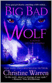 Big Bad Wolf (Others Series #8)