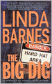 Big Dig (Carlotta Carlyle Series #9)