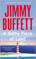 Salty Piece of Land