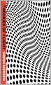 Theories of Flight (Samuil Petrovitch Series #2)
