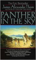 Panther in the Sky