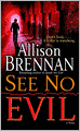 See No Evil (Evil Series #2)