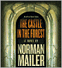 The Castle in the Forest: A Novel