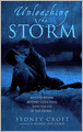 Unleashing the Storm