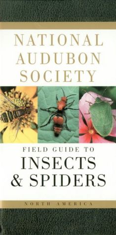 National Audubon Society Field Guide to North American Insects and Spiders