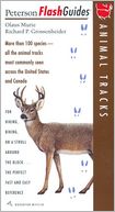Animal Tracks