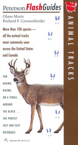 Animal Tracks