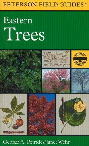 A Field Guide to Eastern Trees: Eastern United States and Canada, Including the Midwest