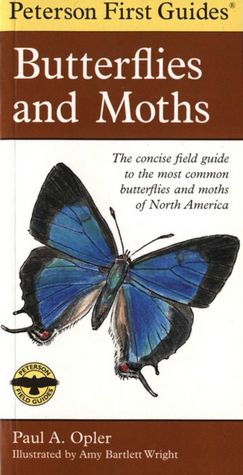 Peterson First Guide to Butterflies and Moths