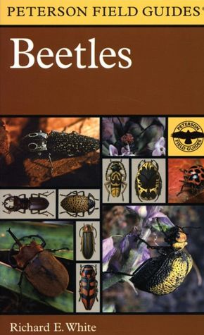 A Field Guide to the Beetles: of North America