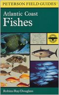 download A Field Guide to Atlantic Coast Fishes : North America book