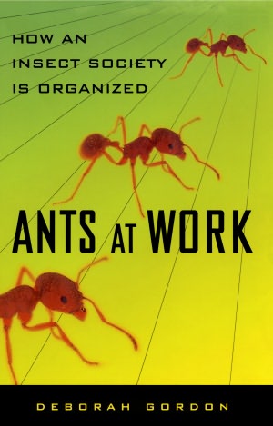 Ants At Work: How An Insect Society Is Organized