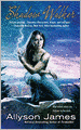 Shadow Walker (Stormwalker Series #3)