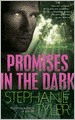 Promises in the Dark (Shadow Force Series #2)