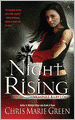Night Rising (Vampire Babylon Series #1)