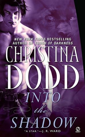 Into the Shadow (Darkness Chosen Series #3)