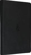 Value Thinline Bible-ESV-Flame