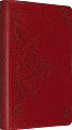 ESV BattleZone Bible